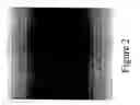 Fig. 03 - Multilayer polymer gradient index (GRIN) lenses