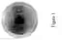 Fig. 04 - Multilayer polymer gradient index (GRIN) lenses
