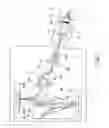 Fig. 02 - Illumination optical system and exposure apparatus