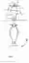 Fig. 04 - Lamp shade