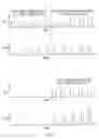Fig. 09 - Method, system and circuit for programming a non-volatile memory array