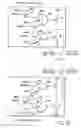 Fig. 10 - Magnetic random access memory