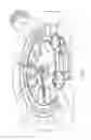 Fig. 09 - Perpetual calendar for a timepiece