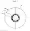 Fig. 02 - Optical disk with a plurality of radially extending marks for recording reflectance data of the optical disk
