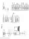 Fig. 09 - Content-data processing apparatus, content-data processing method, content data management system and content data management method