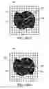 Fig. 28 - Technique for extracting arrayed data
