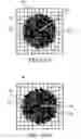 Fig. 34 - Technique for extracting arrayed data