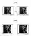 Fig. 06 - Delivery of moving images according to reception condition of recipient