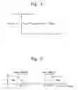 Fig. 04 - Image interpolation apparatus and method