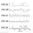 Fig. 05 - Optical transmitter for generating duobinary CSRZ and CSRZ-DPSK optical signals for use in optical communication system