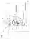Fig. 02 - Developing apparatus, process cartridge, electrophotographic image forming apparatus and end portion regulating member