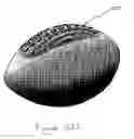 Fig. 06 - Keyboard and method of making the same