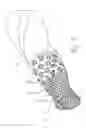 Fig. 02 - Stator for an eccentric screw pump or an eccentric worm motor operating on the moineau principle