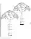 Fig. 09 - Sol-gel dendron separation and extraction capillary column