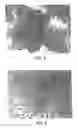 Fig. 04 - Process for simultaneous preparation of nanocrystalline anatase titanium dioxide powder and hydrazine monohydrochloride