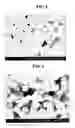 Fig. 02 - Method for preparing α-alumina nano powder