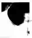 Fig. 02 - Microparticles and methods for their production