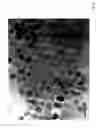 Fig. 06 - Microparticles and methods for their production