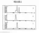Fig. 06 - Avidin dimers effective in increasing the concentration of radioactive biotin in pretargeted radioimmunotherapy