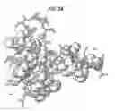 Fig. 04 - Immunoconjugates and humanized antibodies specific for B-cell lymphoma and leukemia cells