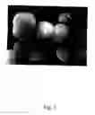 Fig. 04 - Stabilized vaterite