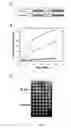 Fig. 02 - Compositions, kits and treating methods for alteration cell-cell adhesion, transport, or permeation properties of tissues