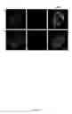 Fig. 08 - Compositions, kits and treating methods for alteration cell-cell adhesion, transport, or permeation properties of tissues