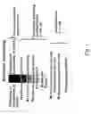 Fig. 02 - Humanized tissue factor antibodies