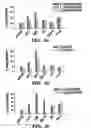Fig. 08 - Method and composition for treating immune complex associated disorders