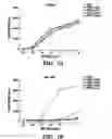 Fig. 10 - Method and composition for treating immune complex associated disorders
