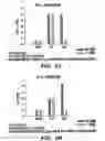 Fig. 11 - Method and composition for treating immune complex associated disorders