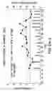 Fig. 10 - Method of promoting graft survival with anti-tissue factor antibodies