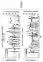 Fig. 12 - Method of promoting graft survival with anti-tissue factor antibodies