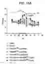 Fig. 17 - Method of treating anemia by administering IL-1ra