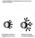 Fig. 07 - Immunogenic formulations comprising oil bodies