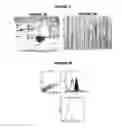 Fig. 04 - Immunisation against chlamydia trachomatis