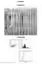 Fig. 13 - Immunisation against chlamydia trachomatis