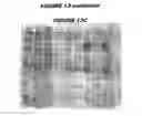 Fig. 24 - Immunisation against chlamydia trachomatis
