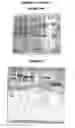 Fig. 30 - Immunisation against chlamydia trachomatis