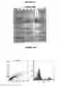 Fig. 31 - Immunisation against chlamydia trachomatis