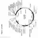 Fig. 08 - Regulated antigen delivery system (RADS)