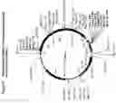 Fig. 13 - Regulated antigen delivery system (RADS)