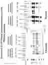 Fig. 16 - Regulated antigen delivery system (RADS)