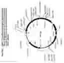 Fig. 23 - Regulated antigen delivery system (RADS)