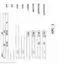 Fig. 02 - Stabilized soluble glycoprotein trimers