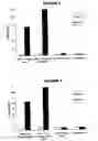 Fig. 03 - Capsular polysaccharide solubilisation and combination vaccines