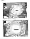 Fig. 02 - Resorption-controlled bone implants