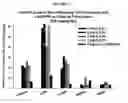 Fig. 03 - Oral compositions of fenretinide having increased bioavailability and methods of using the same