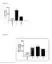 Fig. 03 - Stimulation of CPT-1 as a means to reduce weight