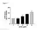Fig. 05 - Stimulation of CPT-1 as a means to reduce weight